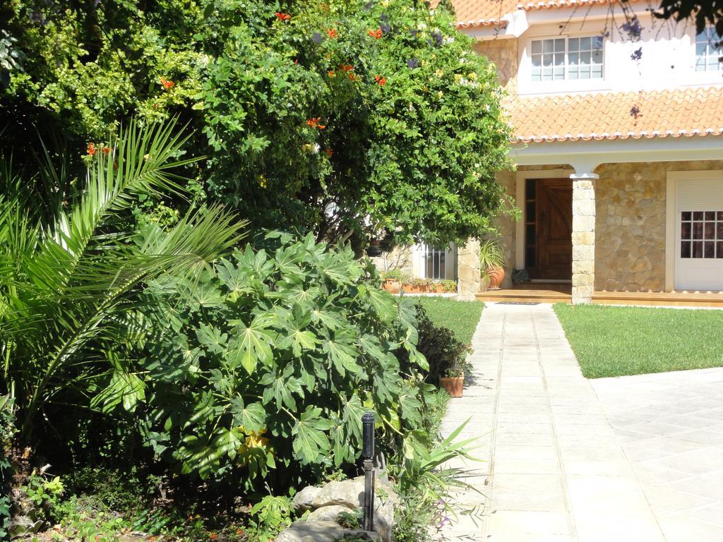 Apartamentos Em Moradia Com Jardim Cascaes Exterior foto